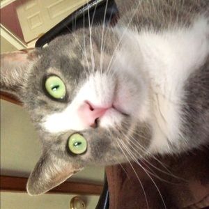 Meet your Posher, Casey